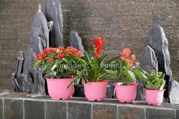 9b9abfa447315204b622bcdc32363538.jpg@350w_350h