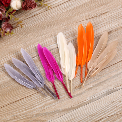 Small Multi-Functional Color Feather Color Variety Factory Direct Sales