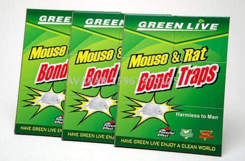 green live mouse and rat bond traps