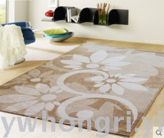 Red Sun Carpet Polypropylene Fiber Blanket Floor Mat 13be-ro Affordable Price Cheap and Easy to Clean