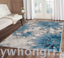 red sun carpet 020iv non-slip mat carpettile floor mat living room bedroom carpet room blanket