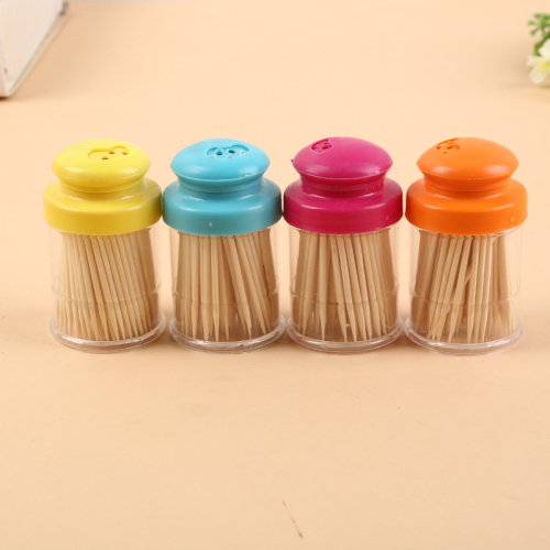Household Essential Bottled Portable Toothpick Environmental Protection Disposable Double-Headed Toothpick