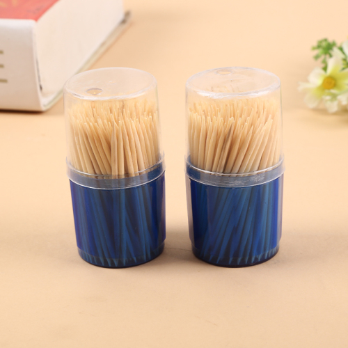 Disposable Toothpick Household Essential Bottled Toothpick Bamboo Toothpick Essential