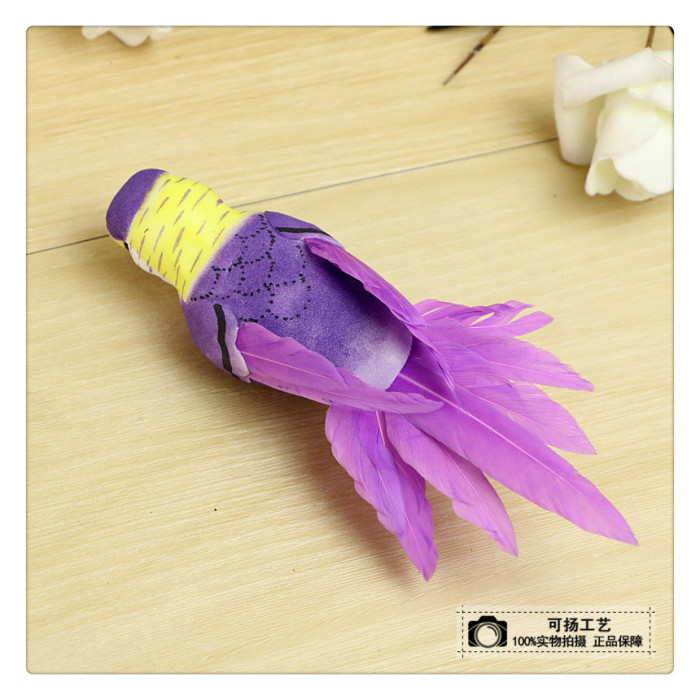 紫色羽毛的鹦鹉图片