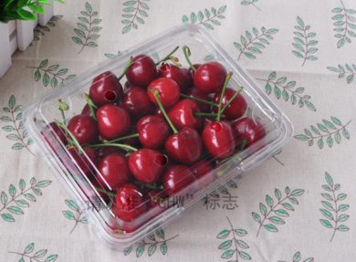 翻盖吸塑盒pet透明食品蔬菜盒一斤装车厘子樱桃水果包装盒