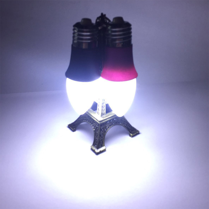 新颖LED灯泡 夜间徒步LED照明手电筒 日常携带钥匙扣灯泡_驰怡电子有限公司_义乌购
