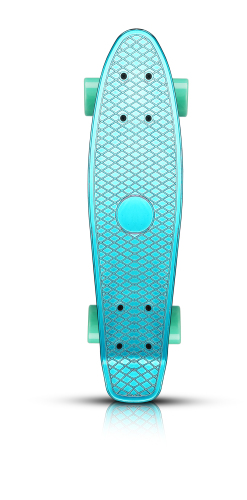gold-pted pstic fish skateboard， skate scooter， children‘s adult skateboard， street skateboard， etc.