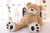 Extra Large Size Stuffed Teddy Bear For Girlfriend Valentine's Day