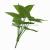 Greening plant wall supplies 12 leaf bouquets wholesale.