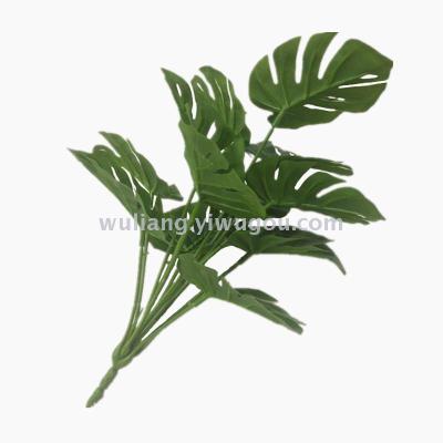 Greening plant wall supplies 12 leaf bouquets wholesale.