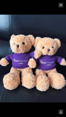 Teddy bear, quality assurance, to see the sample custom is to send friends and furnishings of the best products