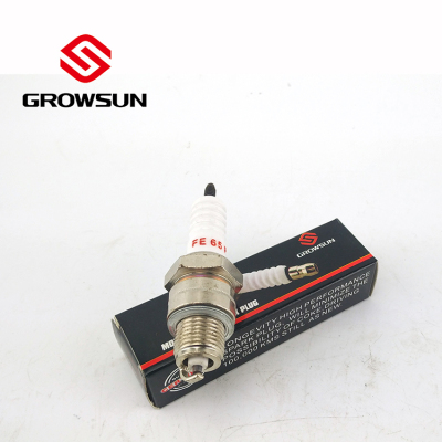 Motorcycle parts of Spark plug for FE65P