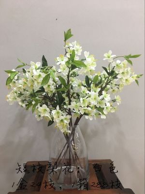LAN jin (flower know flower industry) short branch pear flower