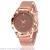 Foreign trade hot style fashion sales rose gold contracted mantianxingnet with a watch quartz watch