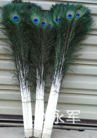 spot supply peacock fur natural/colorful peacock feathers in stock wholesale 80-90cm peacock fur peacock feathers