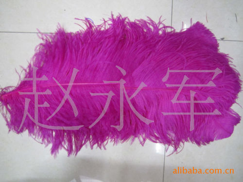 Imported Ostrich Feather， Peacock Feather Natural Whole.