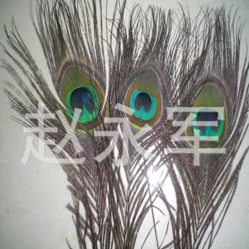 a large number of spot supply 30cm peacock feather natural peacock fur flower arrangement decoration feather