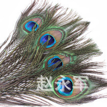 Wholesale 25-30cm Natural Peacock Hair Peacock feather DIY Hair Accessories Earrings Clothing Accessories