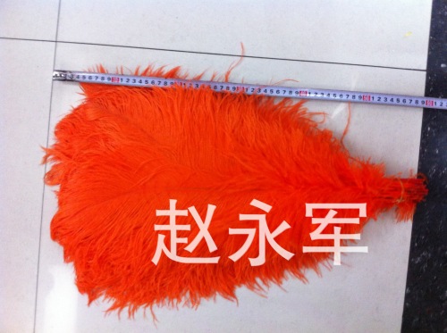 factory direct sales * ostrich hair 55-60cm * diy wedding feather stage hotel decorative feather stage