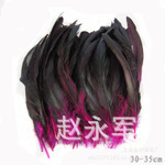 wholesale color dyed chicken tail feather decolorized chicken feather pheasant feather 30-35cm