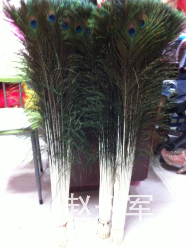 Imported Pure Natural Real Peacock Feather 80cm Screen Dedicated Peacock Feather Vase Home Decoration