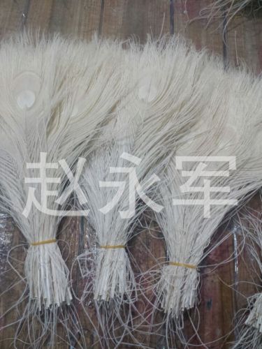 Supply High Quality Natural Peacock Feather Decolorizing Dyeing Decorative Feather