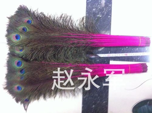 High Quality Peacock Fur Dyed Peacock Feather 80-90cm Flower Arrangement Decoration Feather Size Wholesale
