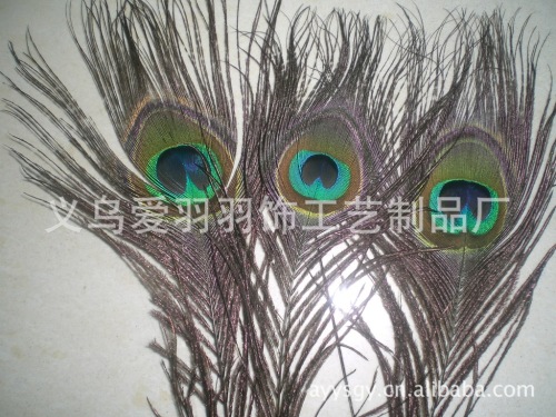 supply natural peacock feather peacock feather suitable for stage decoration feather ornament 25/30cm