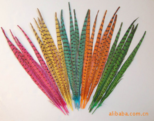 Supply High Quality Chicken Tail Color Chicken Tail Stage Decorative Feather