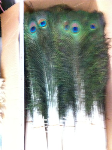 [factory direct sales] indian imported peacock feather 90/100c m decorative feather flower arrangement feather