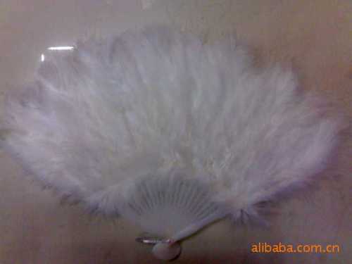 Large Supply of Feather Fan， Feather Angel Wings， Feather Mask Feather Pattern， Feather Headwear