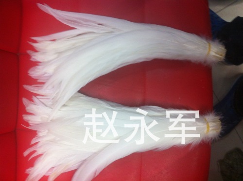 Supply Color Tearing Tail White Tail Feather Color Cock Hair Stage Performance Decoration Feather