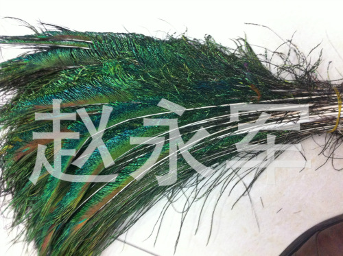high quality imported peacock hair peacock arrow hair wedding decoration flower arrangement feather multiple specifications available in stock