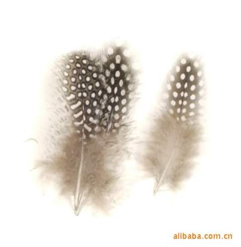 supply natural point pearl chicken feather dyeing production and processing feather cloth with a variety of jewelry feather accessories