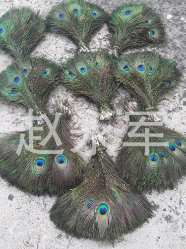 imported high quality 30cm peacock feather peacock side feather flower arrangement decorative feather