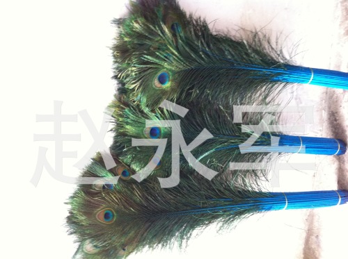 [Factory Direct Sales] India Imported Natural Peacock Feather 80-90cm Dyed Peacock Feather Flower Arrangement Feather