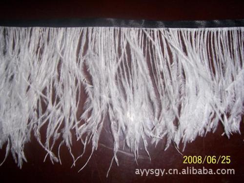 Large Supply Feather Cloth with Chicken Hair Belt Ostrich Hair Belt Feather Pattern 