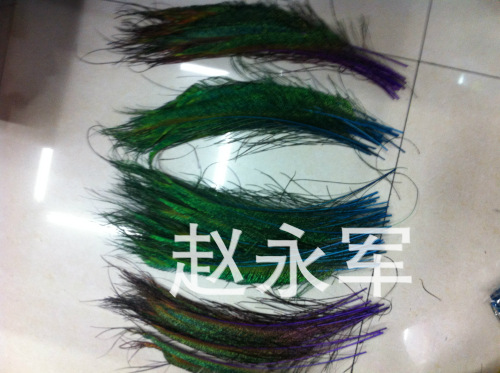 factory direct import natural peacock feather peacock side collar decolorizing dyeing multiple sizes spot supply