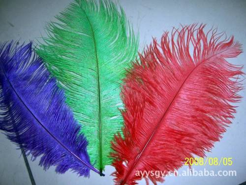 Large Supply of Ostrich Hair Peacock Fur Various Sizes Feather Craft