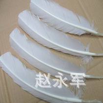 Factory Direct DIY Feather Fire Chicken Nest Feather Feather color Wedding Feather 25-30cm
