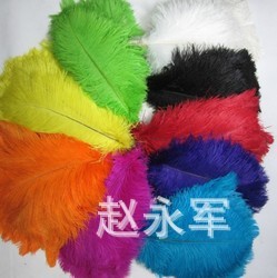 Factory Direct Sales Ostrich Feather 30cm Ostrich Feather Color Ostrich Feather Stage Performance Props 