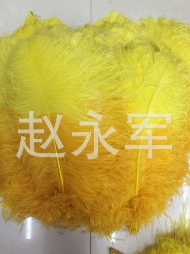Factory Free Shipping Spot Supply 65cm High Quality Ostrich Feather Two-Color Environmental Protection Feather