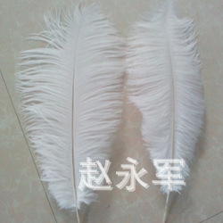 factory direct sales ostrich feather 30cm color ostrich feather wedding feather flower arrangement ostrich feather