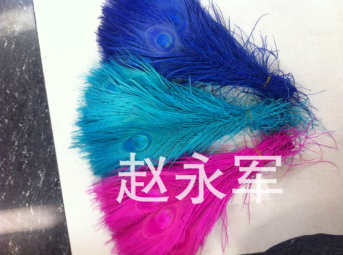 Supply High Quality Peacock Feather Flower Arrangement Decorative Feather Decolorizing Dyed Peacock Feather
