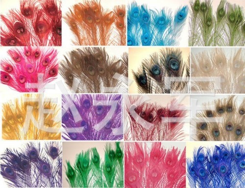 [high quality recommendation] supply 25-30cm natural craft feather peacock feather decolorizing peacock feather