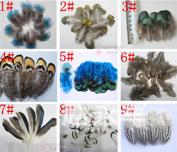 Supply Natural High Quality Pheasant Feather Copper Send Side Tail Ornament Stage Decoration Embellished Feathers
