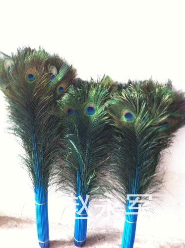 Supply High Quality Imported More than Peacock Fur Sizes in Stock Wholesale Feather Dyeing Decolorizing