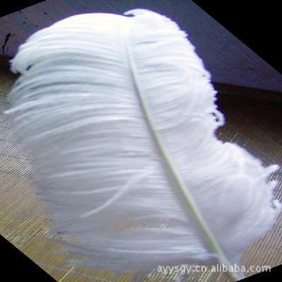 Excellent Quality Dyed Large Ostrich Feather Ostrich Hair Bleached Ostrich Feather Various Specifications Conventional Colors Available in Stock