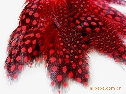 Supply Peacock Fur Ostrich Feather Pearl Chicken Feather Applicable Style Xinyi Feather Ornaments Accessories