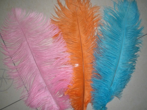 Large Supply Peacock Fur Whole Ostrich Feather Ostrich Feather Woven Belt Velvet Strips Various Feather Craft. 